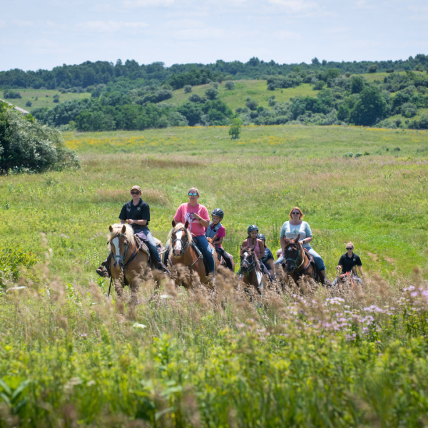 group on horses in pasture