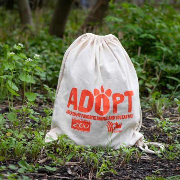 adopt bag in grass