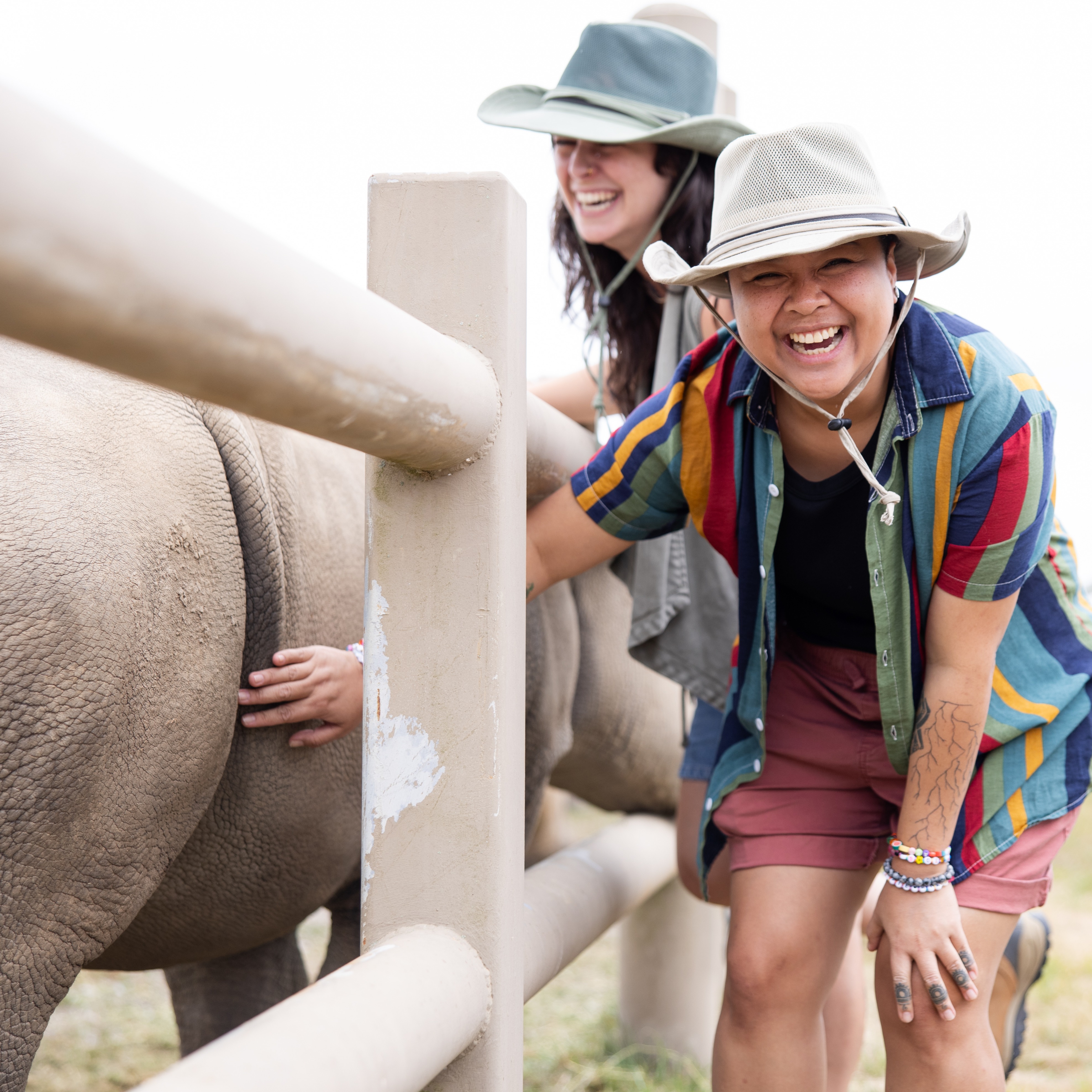 Guests at The Wilds smiling while touching rhino