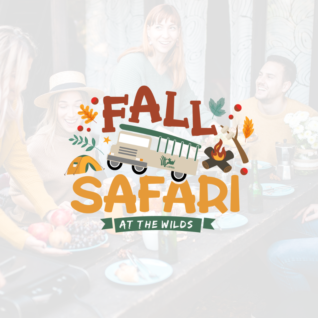 Fall Safari logo