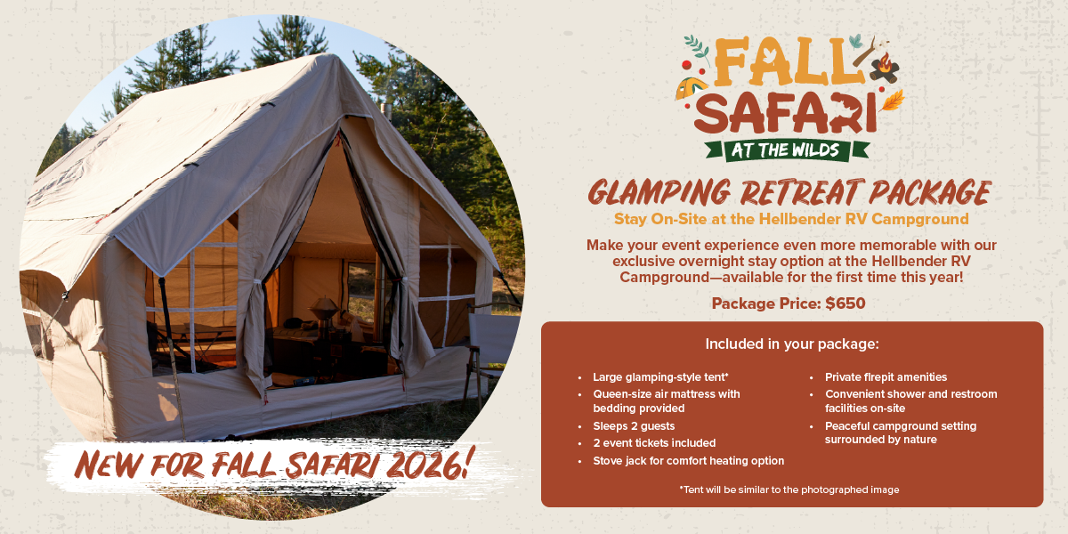 graphic for camping option at campground