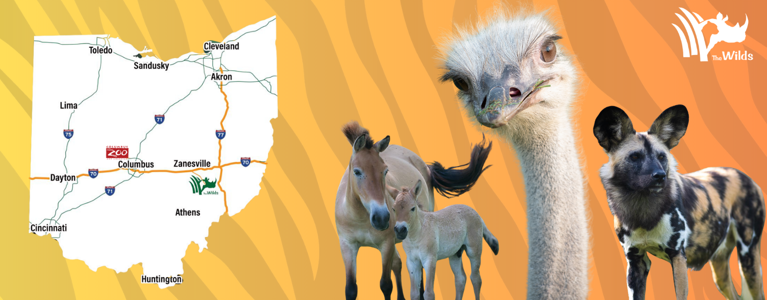 graphic with state of Ohio and various animals
