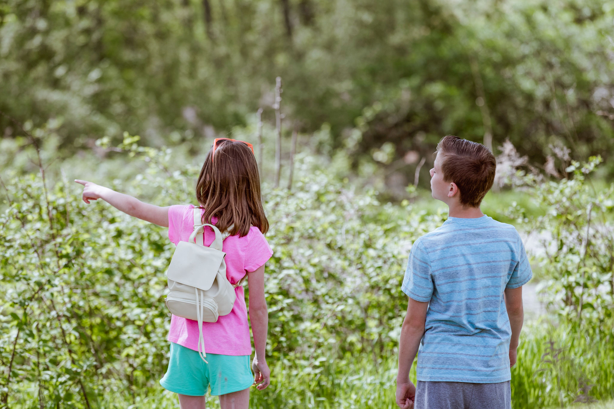 children looking at pasture of plants