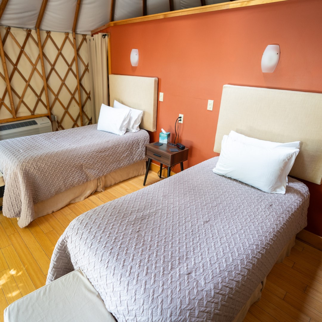 twin beds in yurt