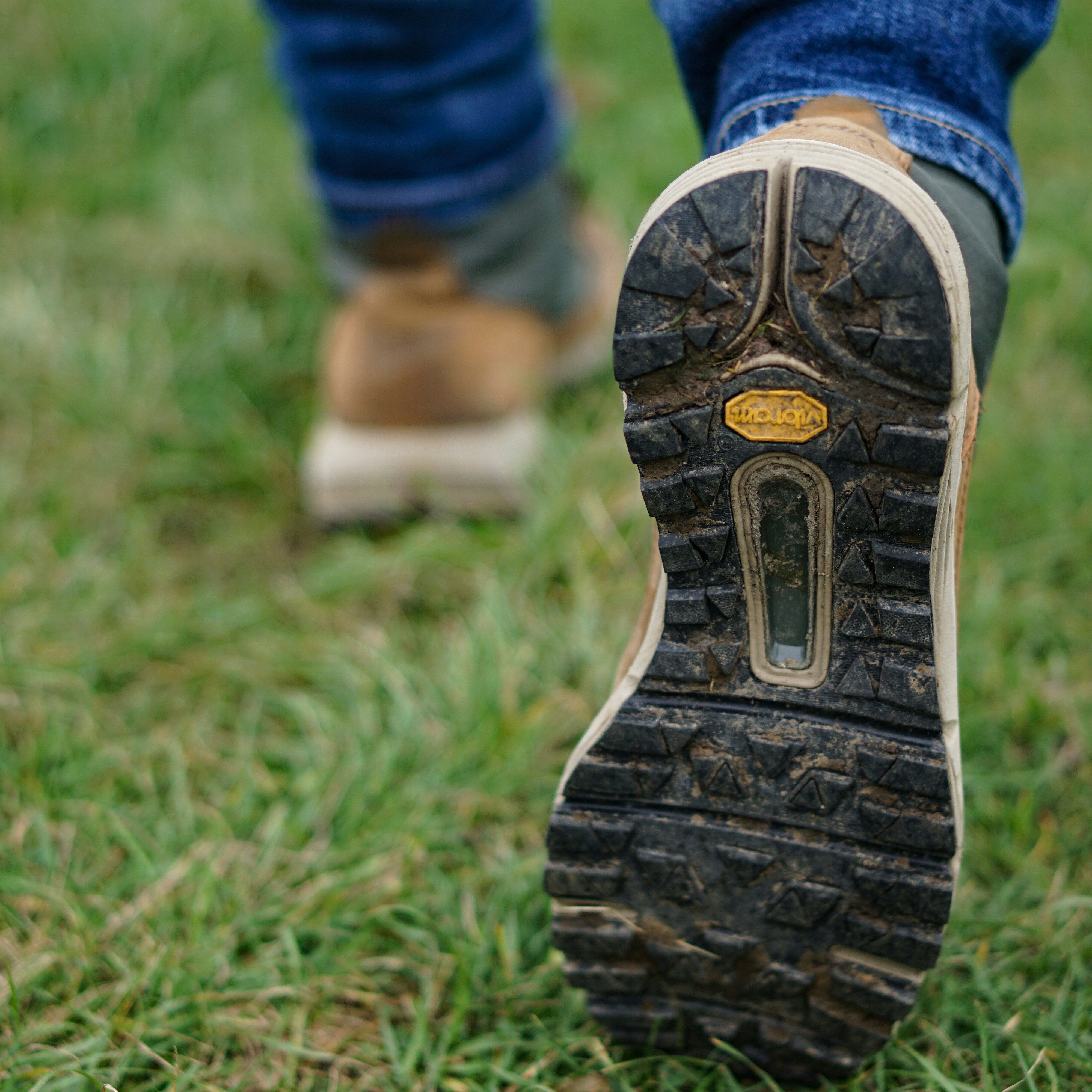 Hiking boot in grass. Photo credit: Thomas Weatley