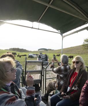 guests on open air truck tour